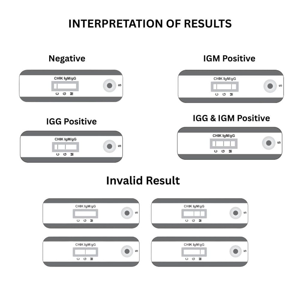 Chikungunya IgG/IgM Test Kit — Pack of 3 — image 3