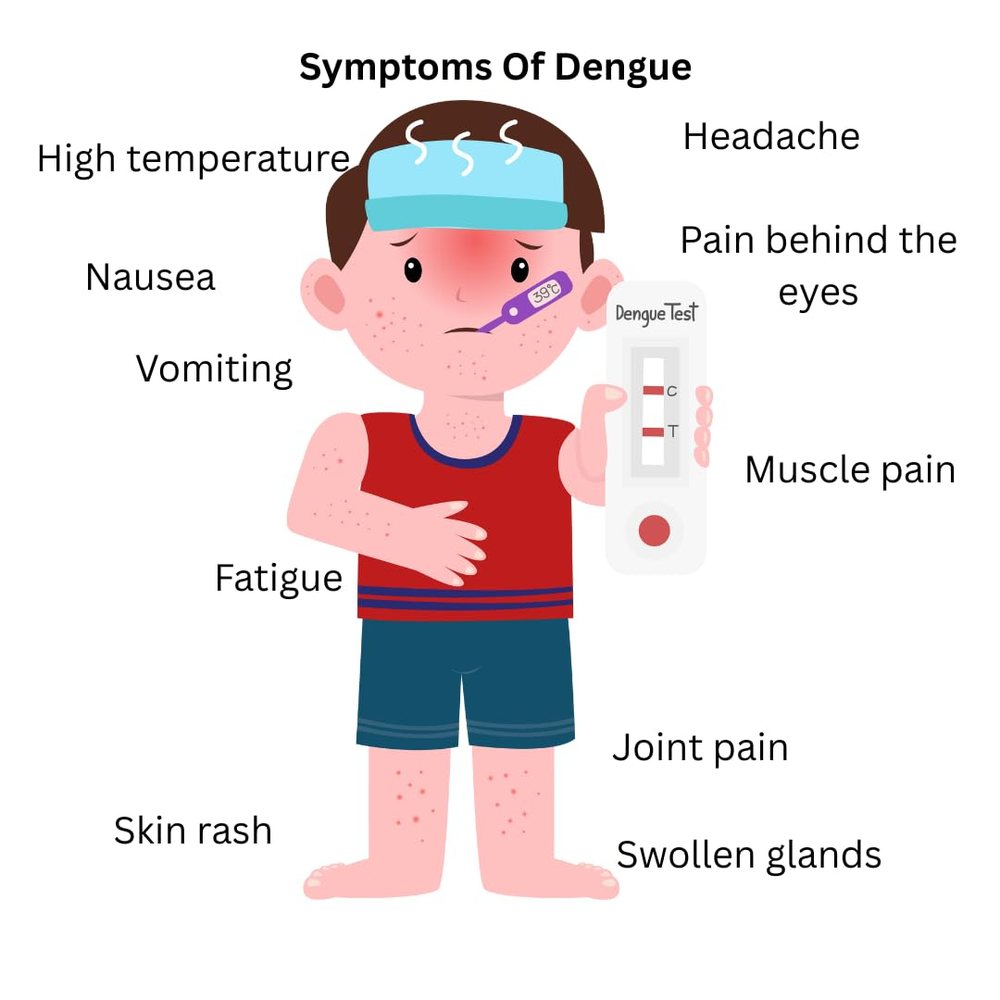 Dengue NS1 + IgG/IgM Combo Test Kit — 10 Tests — image 3