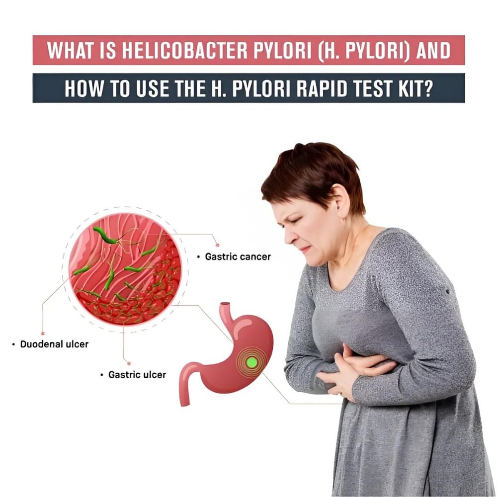 H. Pylori Test Kit — Pack of 5 — image 4
