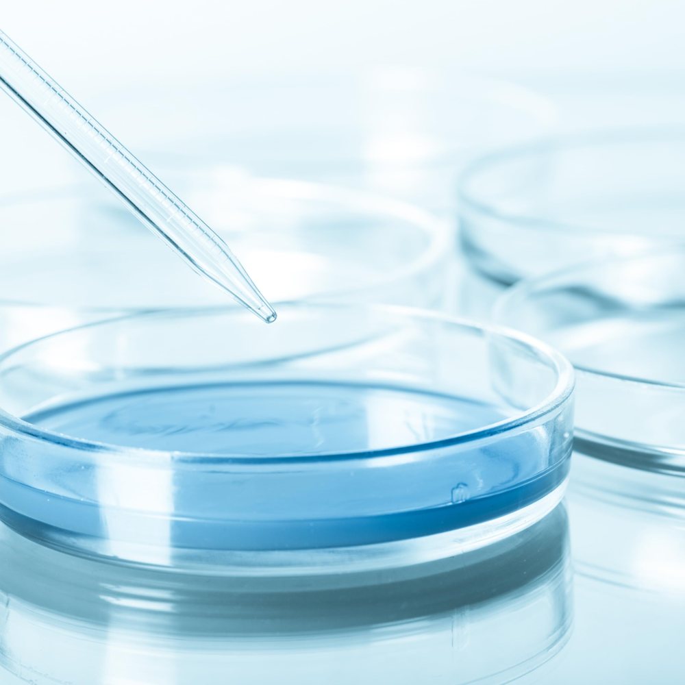 Dr. Manya Sterile Petri Dishes with Lids 90 × 15 mm (ETO) — Pack of 10