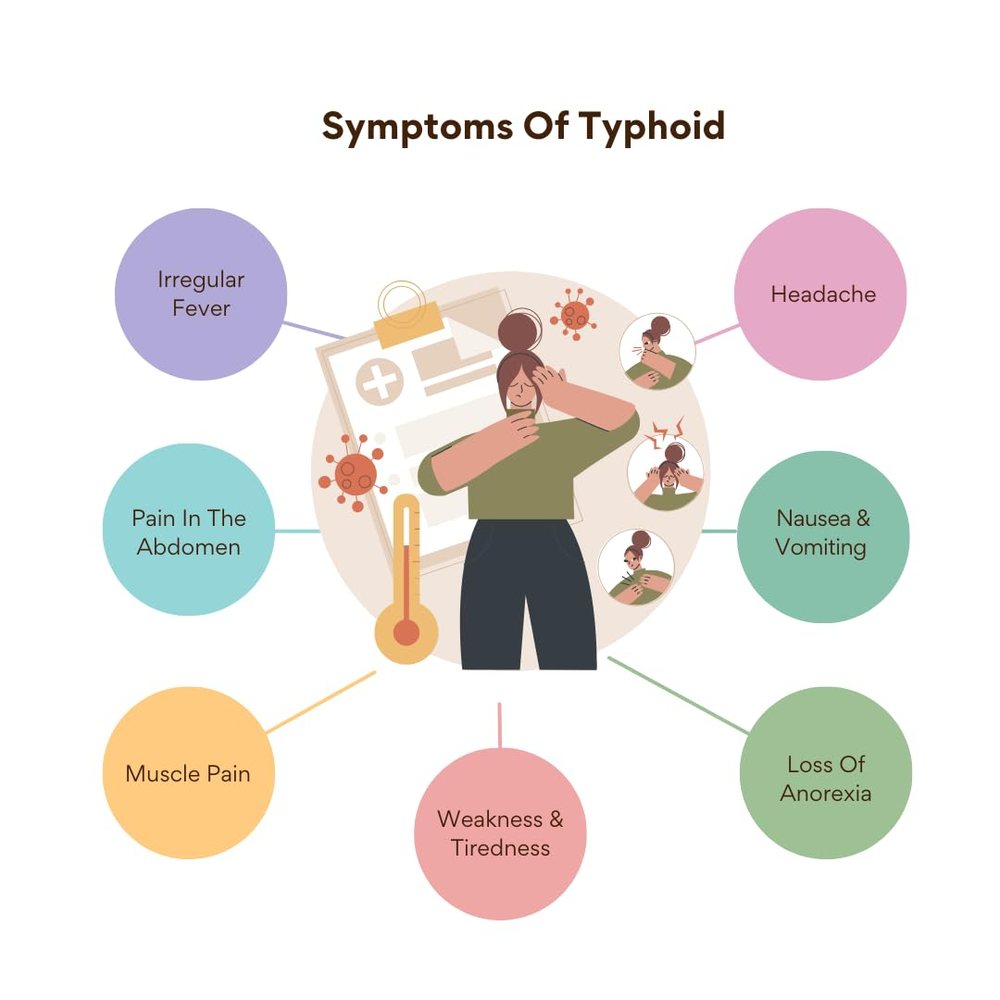 Typhoid IgG/IgM Antibody Test Kit — Pack of 10 — image 3