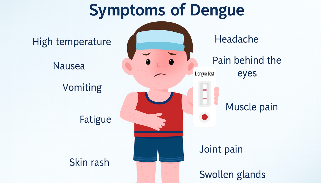 Symtoms of dengue