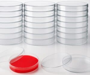 Sterile Petri Dish 90mm Lab Culture Plates Pack of 10 – India