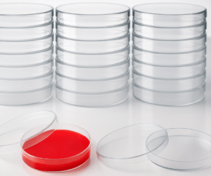 90mm Sterile Petri Dishes Pack Of 10 pcs